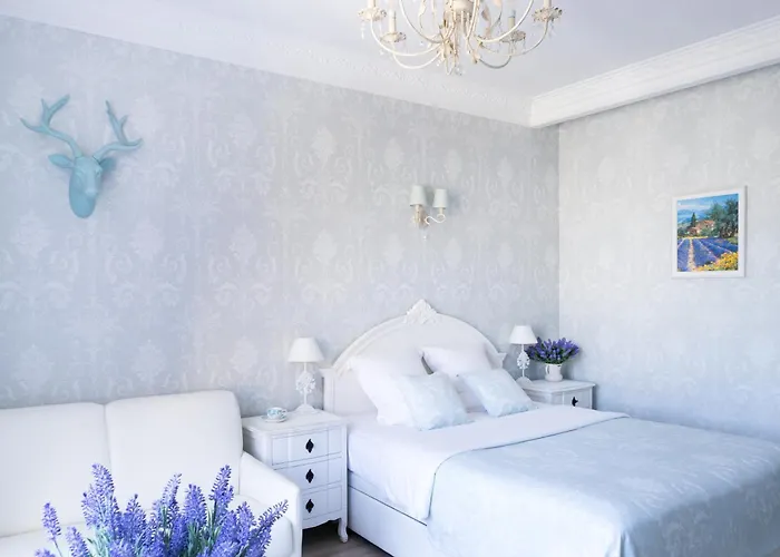 Croisette Palais Miramar Imperial Cannes